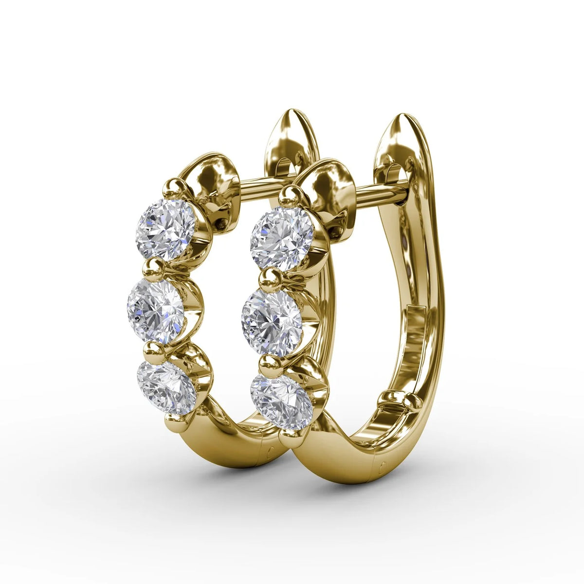 Dainty and Delightful  Hoop Earrings