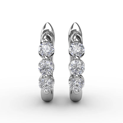 Dainty and Delightful  Hoop Earrings