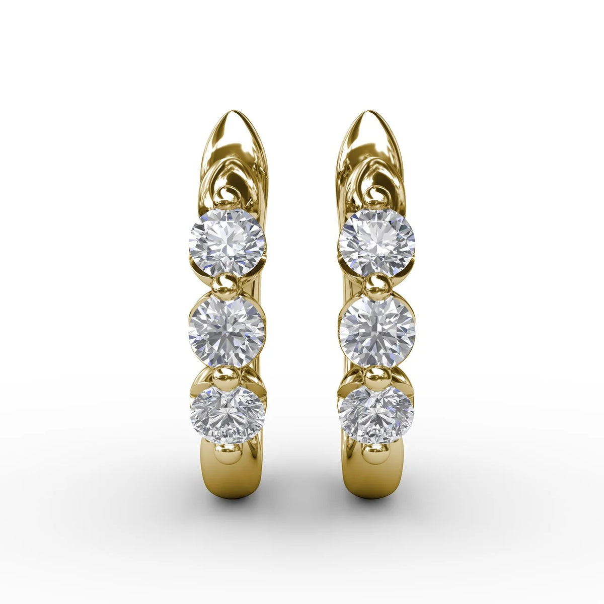 Dainty and Delightful  Hoop Earrings