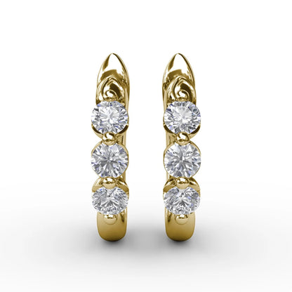 Dainty and Delightful  Hoop Earrings