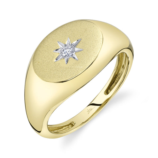 0.05Ct 14K Y/G Diamond Star Matte Signet Ring