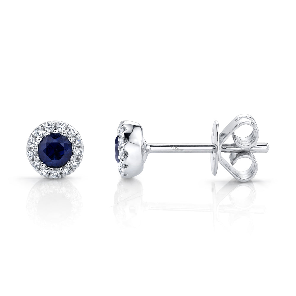 0.08Ct Diamond & 0.28Ct Blue Sapphire 14K W/G Stud Earring