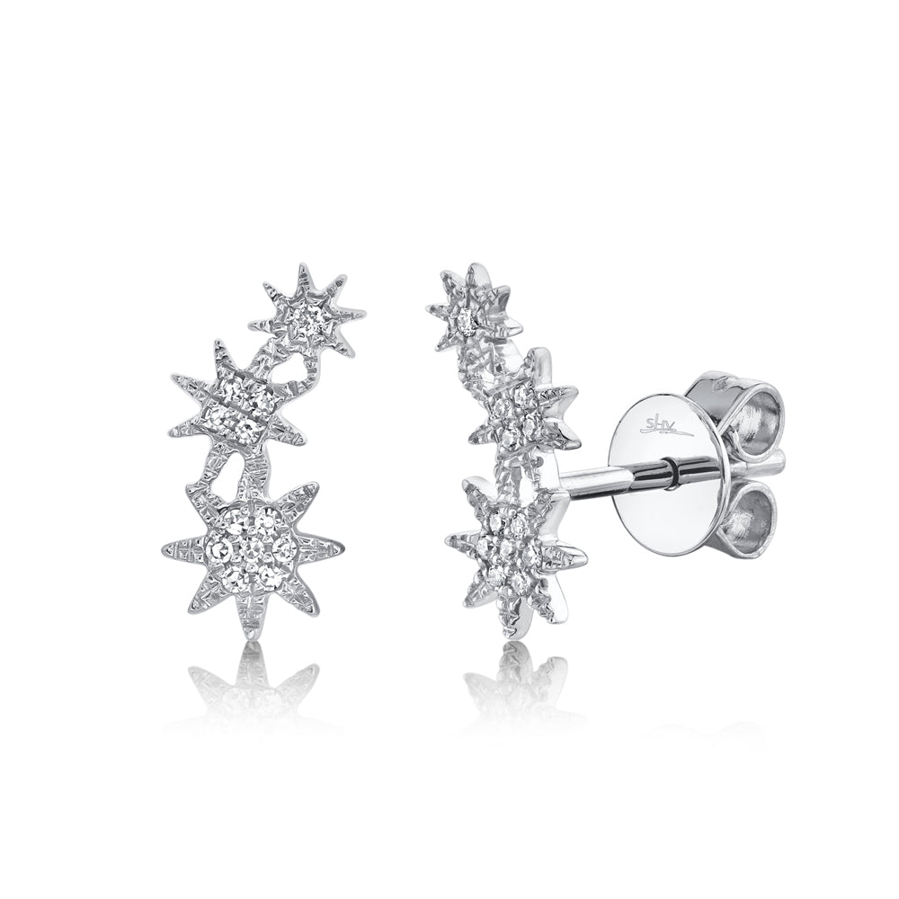 0.06Ct 14K W/G Diamond Star Stud Earring
