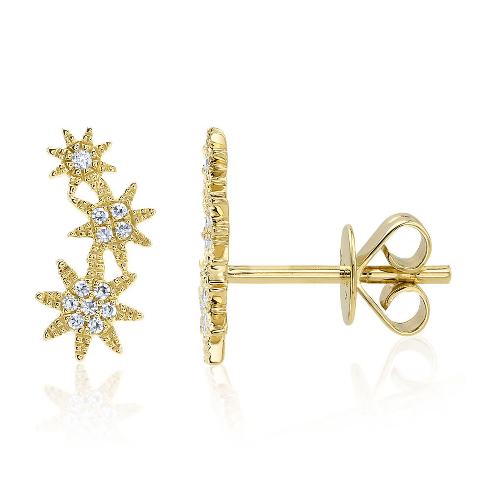 0.06Ct 14K Y/G Diamond Star Stud Earring