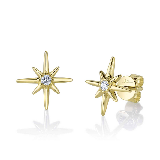 0.07Ct 14K Y/G Diamond North Star Stud Earring